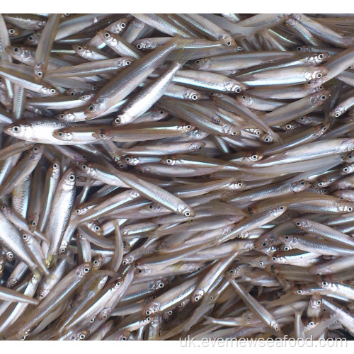 Заморожені морепродукти ставкова корюшка